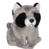 Wild Republic 21179 Pocketkins Waschbär Raccoon Ca 12cm Plüsch -Spielzeug Verkauf 21179 Lil Kins Raccoon Sitting