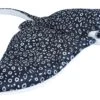 Wild Republic 22470 Adlerrochen Eagle Ray Ca 30cm Plüsch 2 Wild Republic 22470 Adlerrochen Eagle Ray Ca 30cm Plüsch -Spielzeug Verkauf 22470 CK Eagle Ray