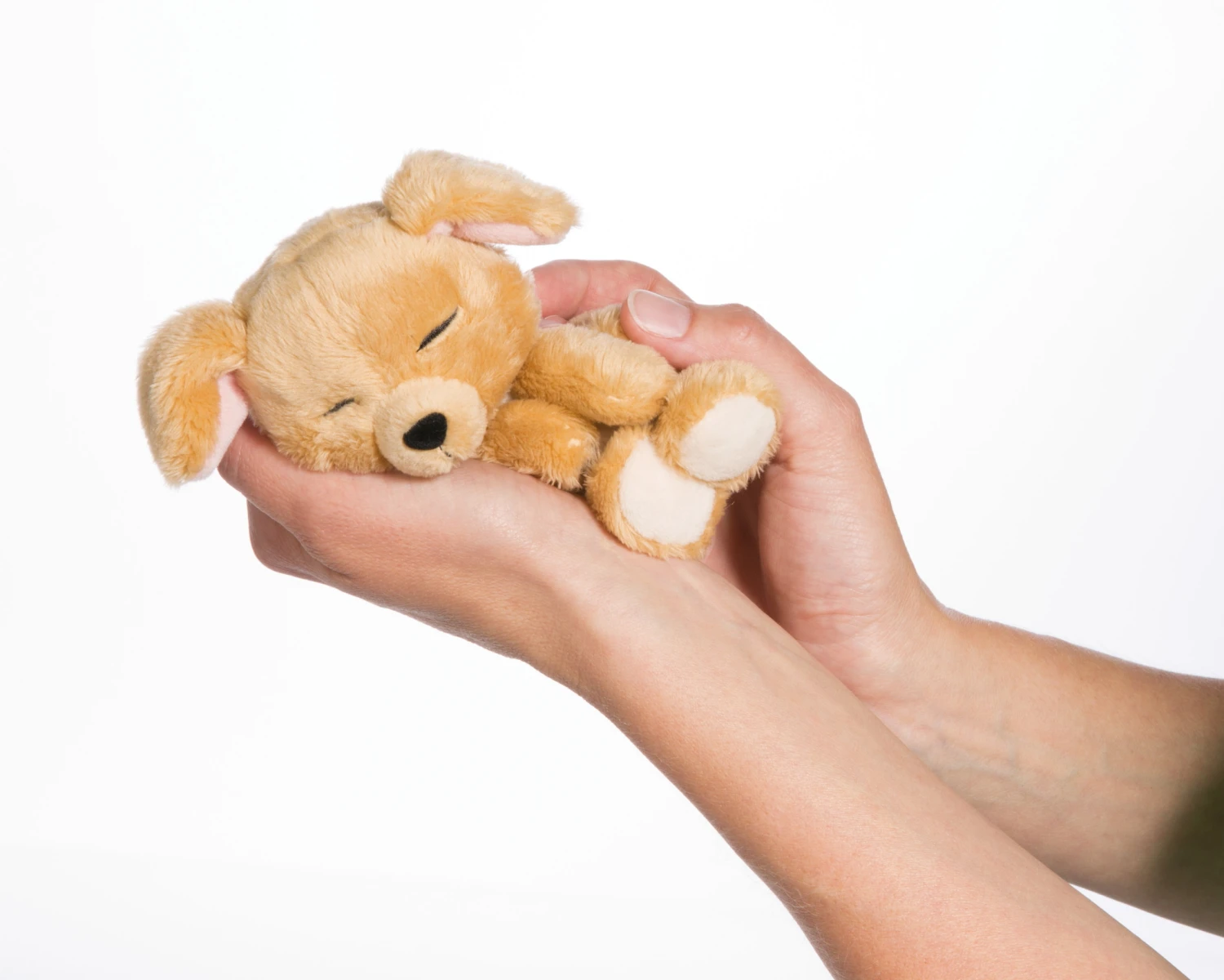 Nici 48111 Sleeping Puppies Schlafendes Hundebaby Im Körbchen 12cm Karamell 4 Nici 48111 Sleeping Puppies Schlafendes Hundebaby Im Körbchen 12cm Karamell – Bild 2