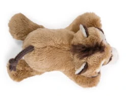 Nici 47956 MagNICI Nasenbär Coaty 12cm Magnetfigur Plüsch Wild Friends GREEN -Spielzeug Verkauf 47956 02 ZA Frei 2048x1557