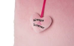 Nici 48274 Kissen Schwan Weiß Rechteckig 43x25cm Plüsch Love Classics GREEN 9 Nici 48274 Kissen Schwan Weiß Rechteckig 43x25cm Plüsch Love Classics GREEN -Spielzeug Verkauf 48274 03 ZA Frei 2048x1265