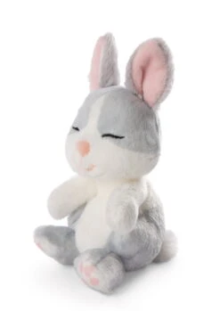 Nici 48706 Sleeping Pets Bunnies Hase Grau 12cm Schlafend Im Körbchen Grün -Spielzeug Verkauf 48706 04 ZA Frei 1451x2048