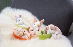 Nici 48706 Sleeping Pets Bunnies Hase Grau 12cm Schlafend Im Körbchen Grün -Spielzeug Verkauf 48706 10 48707 48708 48709 Milieu 2048x1318 1