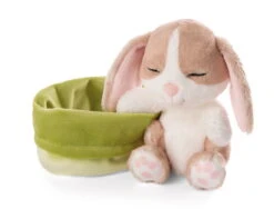 Nici 48709 Sleeping Pets Bunnies Hase Cappuccino 12cm Schlafend Im Körbchen Grün -Spielzeug Verkauf 48709 03 ZA Frei 2048x1562