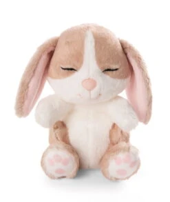 Nici 48709 Sleeping Pets Bunnies Hase Cappuccino 12cm Schlafend Im Körbchen Grün -Spielzeug Verkauf 48709 04 ZA Frei 1726x2048