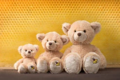 Schaffer 5660 Plüsch Teddy Honey Ca 18cm -Spielzeug Verkauf 5660honey1 1